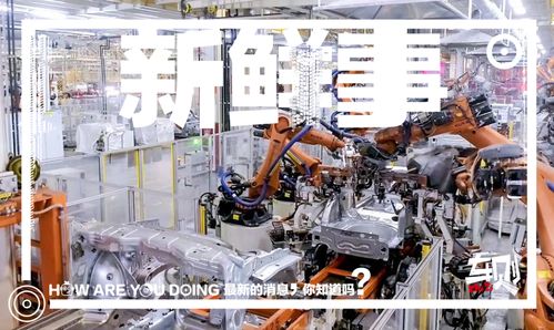 走進上汽大眾長沙工廠 車媒老鳥的圓夢之旅，探秘斯柯達泥地打樁機般完美品質