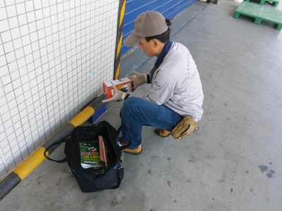 食品廠老鼠防治方案，早用早省心 清潔服務助您無憂經營