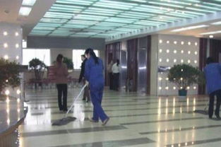 濟寧軟木地板選購與清潔服務全指南 優質品牌推薦與專業維護建議